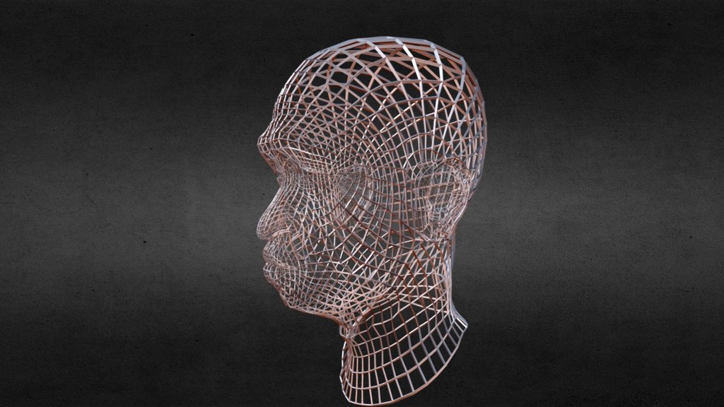 Modelo alámbrico de una cabeza en 3D