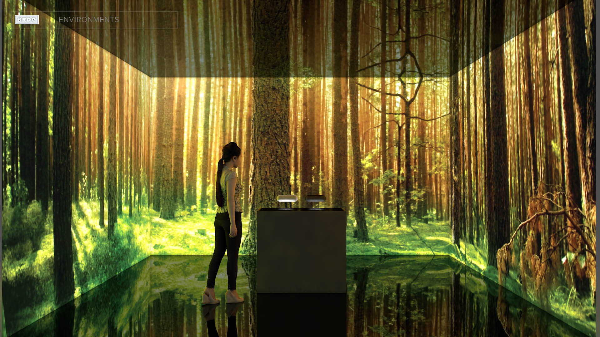 Persona en un escenario de realidad vritual